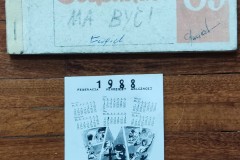 43